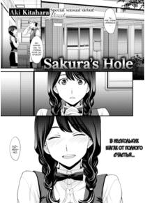 Sakura's Hole