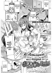 Домашние игры (Omamagoto)