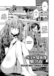 Pet na Ane no Shitsukekata (How To Train Your Pet Sister)